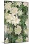 White Clematis, 1887-Claude Monet-Mounted Premium Giclee Print