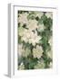 White Clematis, 1887-Claude Monet-Framed Giclee Print