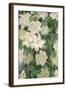 White Clematis, 1887-Claude Monet-Framed Giclee Print