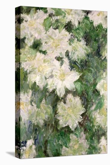 White Clematis, 1887-Claude Monet-Stretched Canvas