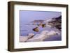 White cliffs known as Scala dei Turchi frame the calm sea at dawn, Porto Empedocle, Province of Agr-Roberto Moiola-Framed Photographic Print