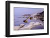 White cliffs known as Scala dei Turchi frame the calm sea at dawn, Porto Empedocle, Province of Agr-Roberto Moiola-Framed Photographic Print