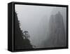 White Cloud Scenic Area, Mount Huangshan, Unesco World Heritage Site, Anhui Province, China-Jochen Schlenker-Framed Stretched Canvas