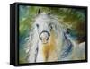 White Cloud the Andlusian Stallion-Marcia Baldwin-Framed Stretched Canvas