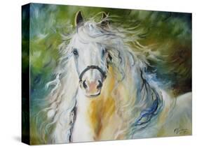 White Cloud the Andlusian Stallion-Marcia Baldwin-Stretched Canvas