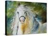 White Cloud the Andlusian Stallion-Marcia Baldwin-Stretched Canvas