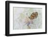 White Cloud-Roberto Marini-Framed Photographic Print