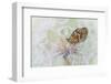 White Cloud-Roberto Marini-Framed Photographic Print