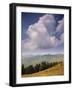 White Clouds Over Mountains, View from Col d'Aspin, Haute-Pyrenees, Midi-Pyrenees, France-David Hughes-Framed Photographic Print