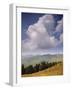 White Clouds Over Mountains, View from Col d'Aspin, Haute-Pyrenees, Midi-Pyrenees, France-David Hughes-Framed Photographic Print