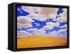 White Clouds Over Wheat Field-Darrell Gulin-Framed Stretched Canvas