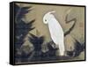 White Cockatoo on a Pine Branch-Ito Jakuchu-Framed Stretched Canvas