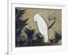 White Cockatoo on a Pine Branch-Ito Jakuchu-Framed Giclee Print