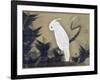 White Cockatoo on a Pine Branch-Ito Jakuchu-Framed Giclee Print