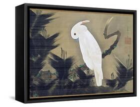 White Cockatoo on a Pine Branch-Ito Jakuchu-Framed Stretched Canvas