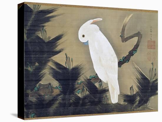 White Cockatoo on a Pine Branch-Ito Jakuchu-Stretched Canvas