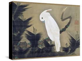 White Cockatoo on a Pine Branch-Ito Jakuchu-Stretched Canvas