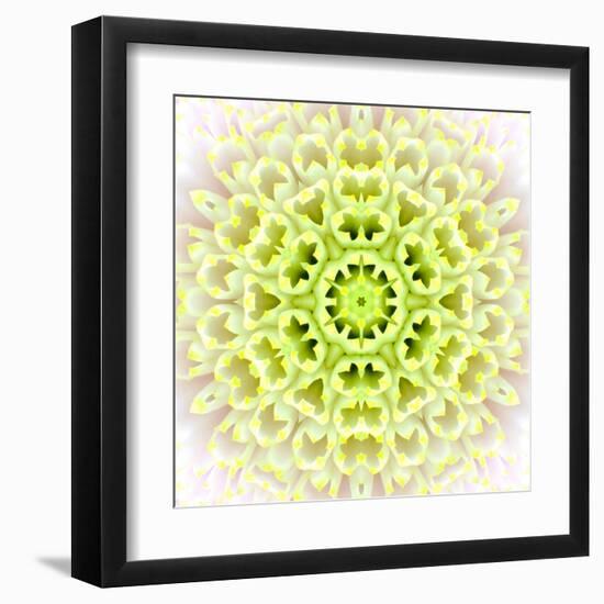 White Concentric Flower Center: Mandala Kaleidoscopic Design-tr3gi-Framed Art Print