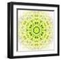 White Concentric Flower Center: Mandala Kaleidoscopic Design-tr3gi-Framed Art Print