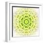 White Concentric Flower Center: Mandala Kaleidoscopic Design-tr3gi-Framed Art Print