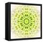 White Concentric Flower Center: Mandala Kaleidoscopic Design-tr3gi-Framed Stretched Canvas