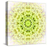 White Concentric Flower Center: Mandala Kaleidoscopic Design-tr3gi-Stretched Canvas