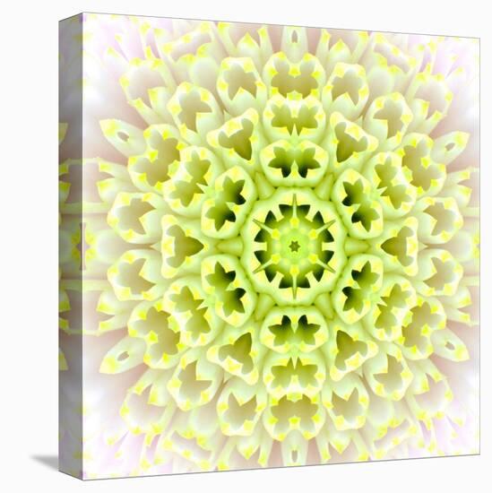 White Concentric Flower Center: Mandala Kaleidoscopic Design-tr3gi-Stretched Canvas