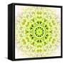 White Concentric Flower Center: Mandala Kaleidoscopic Design-tr3gi-Framed Stretched Canvas