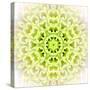 White Concentric Flower Center: Mandala Kaleidoscopic Design-tr3gi-Stretched Canvas