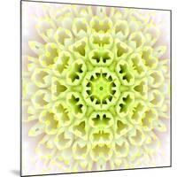 White Concentric Flower Center: Mandala Kaleidoscopic Design-tr3gi-Mounted Art Print