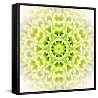 White Concentric Flower Center: Mandala Kaleidoscopic Design-tr3gi-Framed Stretched Canvas