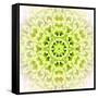 White Concentric Flower Center: Mandala Kaleidoscopic Design-tr3gi-Framed Stretched Canvas