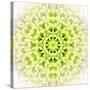 White Concentric Flower Center: Mandala Kaleidoscopic Design-tr3gi-Stretched Canvas