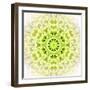 White Concentric Flower Center: Mandala Kaleidoscopic Design-tr3gi-Framed Art Print