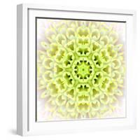 White Concentric Flower Center: Mandala Kaleidoscopic Design-tr3gi-Framed Art Print