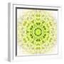 White Concentric Flower Center: Mandala Kaleidoscopic Design-tr3gi-Framed Art Print