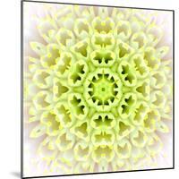 White Concentric Flower Center: Mandala Kaleidoscopic Design-tr3gi-Mounted Art Print