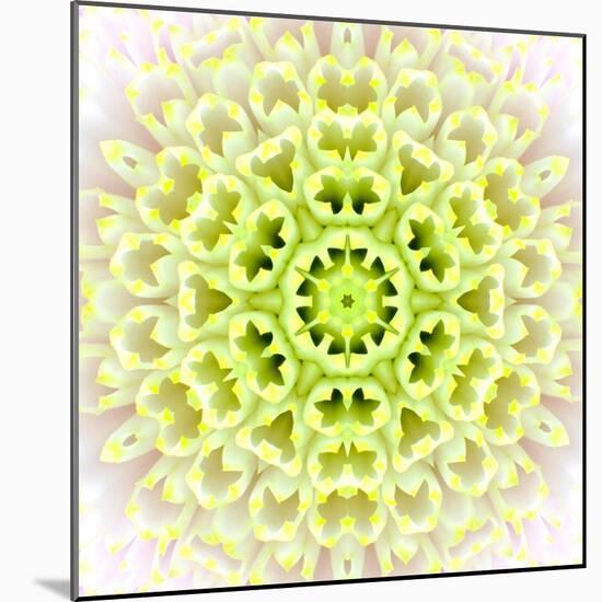 White Concentric Flower Center: Mandala Kaleidoscopic Design-tr3gi-Mounted Art Print