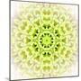 White Concentric Flower Center: Mandala Kaleidoscopic Design-tr3gi-Mounted Art Print