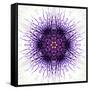 White Concentric Flower Center: Mandala Kaleidoscopic-tr3gi-Framed Stretched Canvas