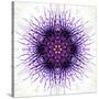White Concentric Flower Center: Mandala Kaleidoscopic-tr3gi-Stretched Canvas