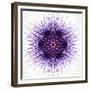 White Concentric Flower Center: Mandala Kaleidoscopic-tr3gi-Framed Premium Giclee Print