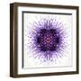 White Concentric Flower Center: Mandala Kaleidoscopic-tr3gi-Framed Art Print