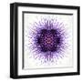 White Concentric Flower Center: Mandala Kaleidoscopic-tr3gi-Framed Art Print