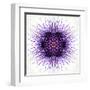 White Concentric Flower Center: Mandala Kaleidoscopic-tr3gi-Framed Art Print