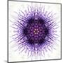 White Concentric Flower Center: Mandala Kaleidoscopic-tr3gi-Mounted Art Print