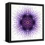 White Concentric Flower Center: Mandala Kaleidoscopic-tr3gi-Framed Stretched Canvas