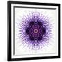 White Concentric Flower Center: Mandala Kaleidoscopic-tr3gi-Framed Art Print