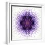 White Concentric Flower Center: Mandala Kaleidoscopic-tr3gi-Framed Art Print