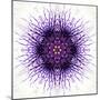 White Concentric Flower Center: Mandala Kaleidoscopic-tr3gi-Mounted Art Print